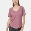 Tentree W Treeblend V-Neck T-Shirt
