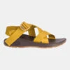 Chaco Mega Z/Cloud Sandaal Dames